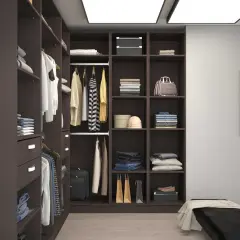 Un dressing bien organisé avec des vêtements et accessoires rangés. Le bois sombre est une couleur qui va avec tout, créant une ambiance élégante.