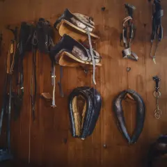Collection d'équipements équestres en cuir animal, prêts pour la prochaine aventure.
