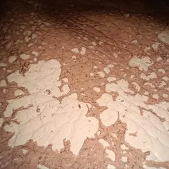 Texture de cuir décoloré par l'acétone, révélant des motifs abstraits et des zones claires.