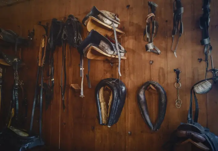 Collection d'équipements équestres en cuir animal, prêts pour la prochaine aventure.