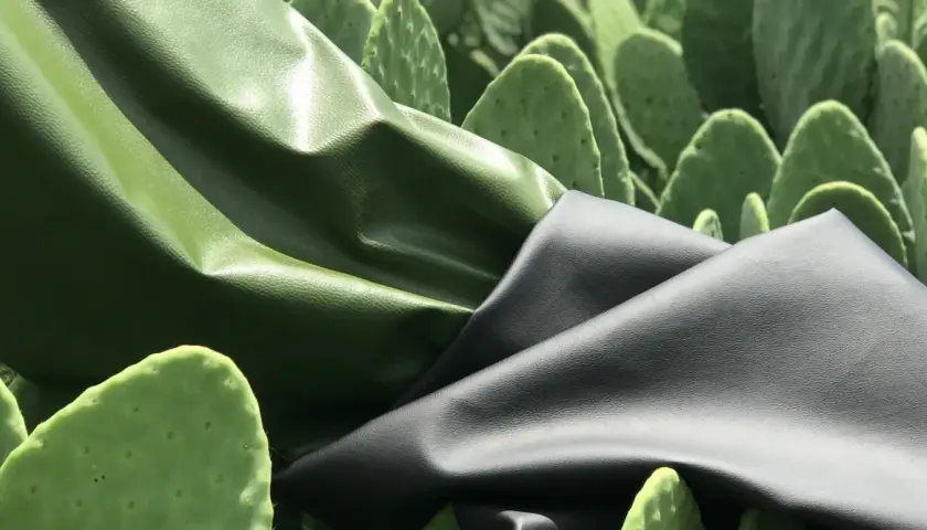 Deux échantillons de cuir végétal, vert et noir, drapés sur des feuilles de cactus.