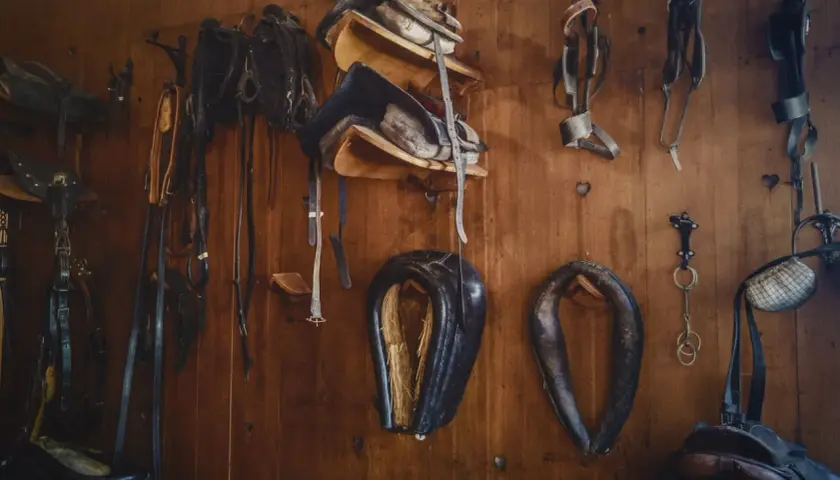 Collection d'équipements équestres en cuir animal, prêts pour la prochaine aventure.