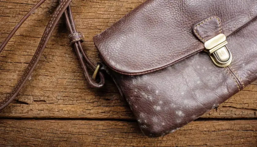 Sacoche en cuir marron avec une tache de moisissure sur le devant.