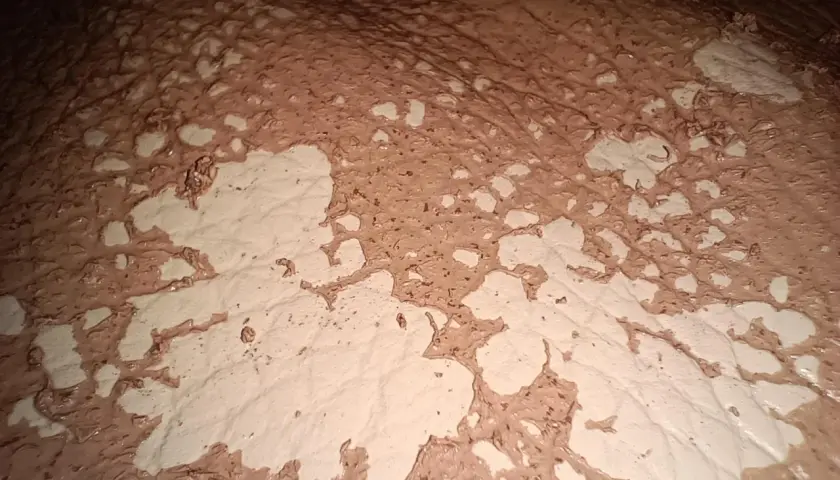 Texture de cuir décoloré par l'acétone, révélant des motifs abstraits et des zones claires.