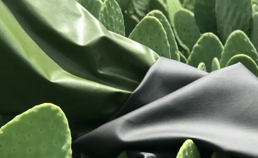 Cuir végétal - Vrai ou faux cuir ? Guide d'achat éclairé