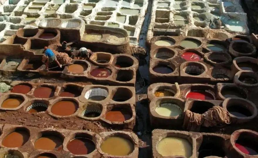 Fabrication du cuir - Du tannage au choix de vos chaussures