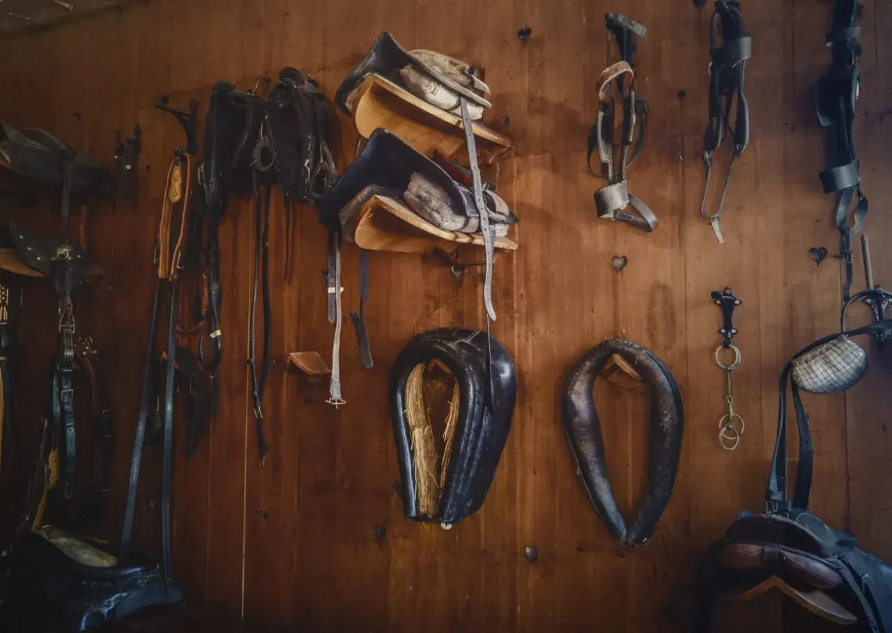 Collection d'équipements équestres en cuir animal, prêts pour la prochaine aventure.