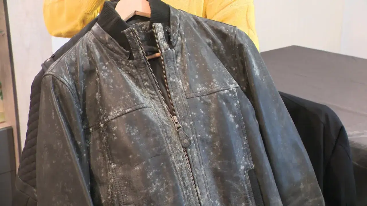 Veste en cuir moisi, recouverte de taches blanches. Peut-être un traitement au bicarbonate de soude pour la nettoyer.