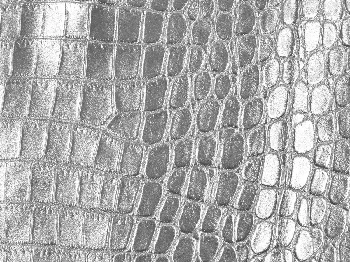 Texture de cuir argenté embossé, imitant la peau de crocodile. Un exemple de cuir embossé definition.