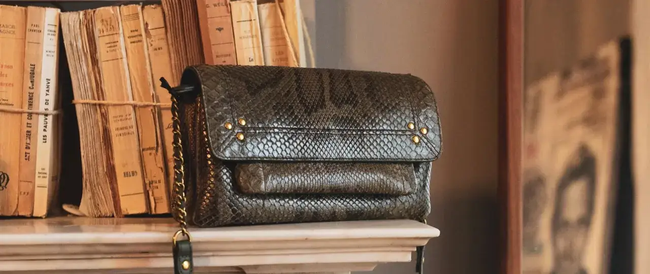 Sac à main en cuir façon serpent, prêt à nettoyer. Il repose sur une étagère avec des livres anciens.